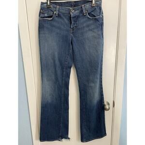 Ralph Lauren No. 67 Jeans Size 8/29 Low Rise Button Fly Y2K Flare Leg Grunge